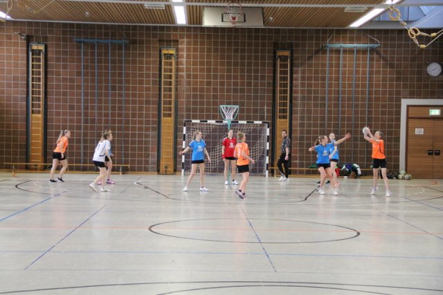 2017_01_08 Landesliga Frauen u. J19